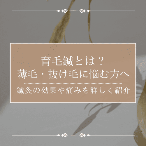 育毛鍼とは？薄毛・抜け毛に悩む方へ 鍼灸の効果や痛みを詳しく紹介