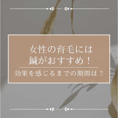女性の育毛には鍼がおすすめ？効果を感じるまでの期間はどのくらい？