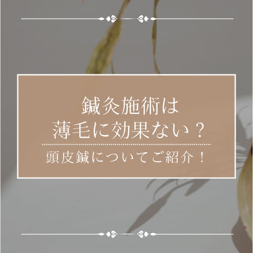 鍼灸施術は薄毛に効果ない？頭皮鍼で期待できる効果とは？