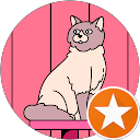 pico W profile picture