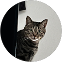 ほしみ。 profile picture