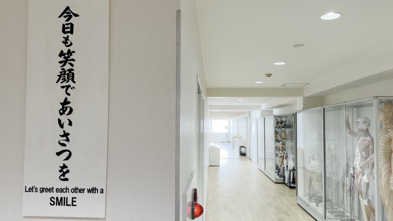 福岡医健・スポーツ専門学校の校舎内。廊下に経穴模型や人体模型の展示ケースが並ぶ